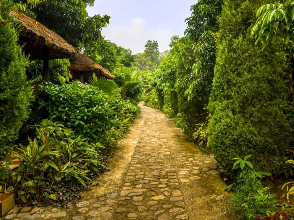 Corbett Tiger And Trees Resort