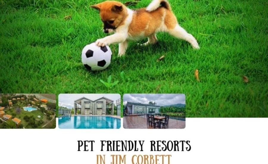 Top 10 Pet Friendly Resorts In Jim Corbett