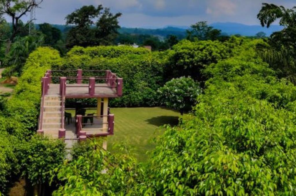  Corbett Machaan Resort 