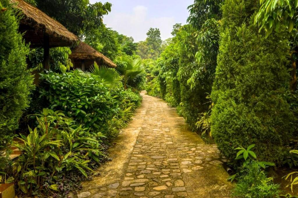 Corbett Tiger And Trees Resort