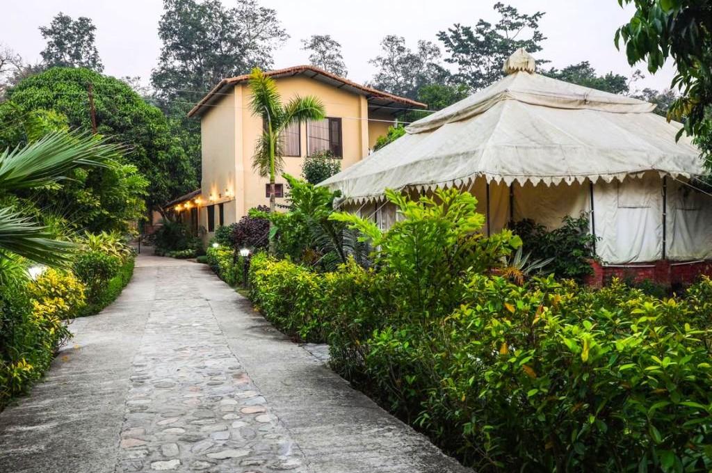 Corbett Tiger And Trees Resort