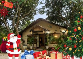 Corbett Tigers N Trees Christmas package